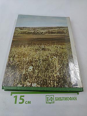 Середина столетия