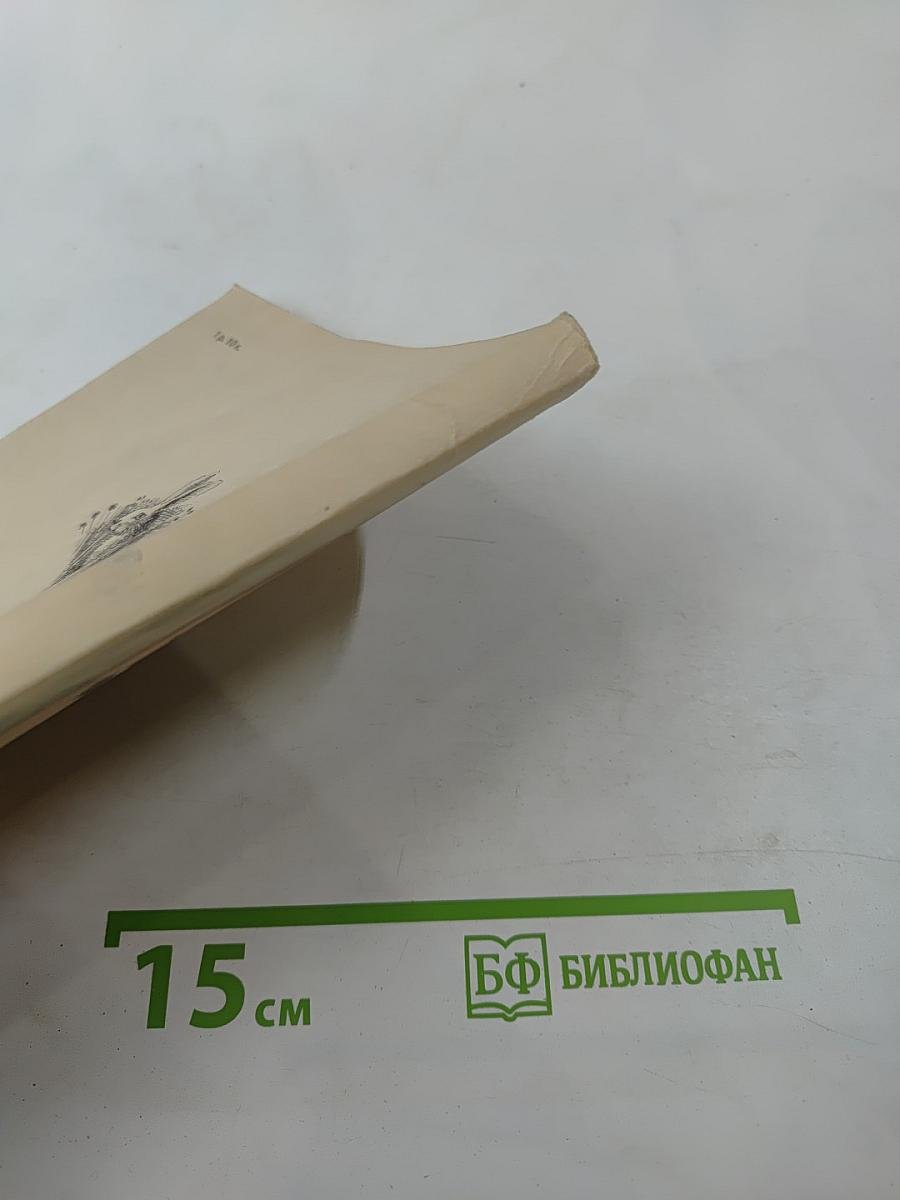 Лесные переселенцы