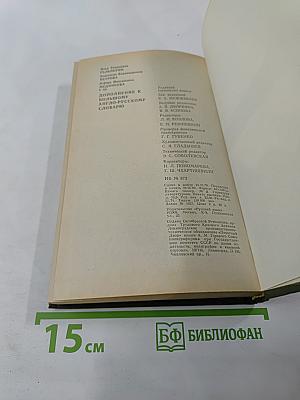 Дополнение к Большому англо-русскому словарю