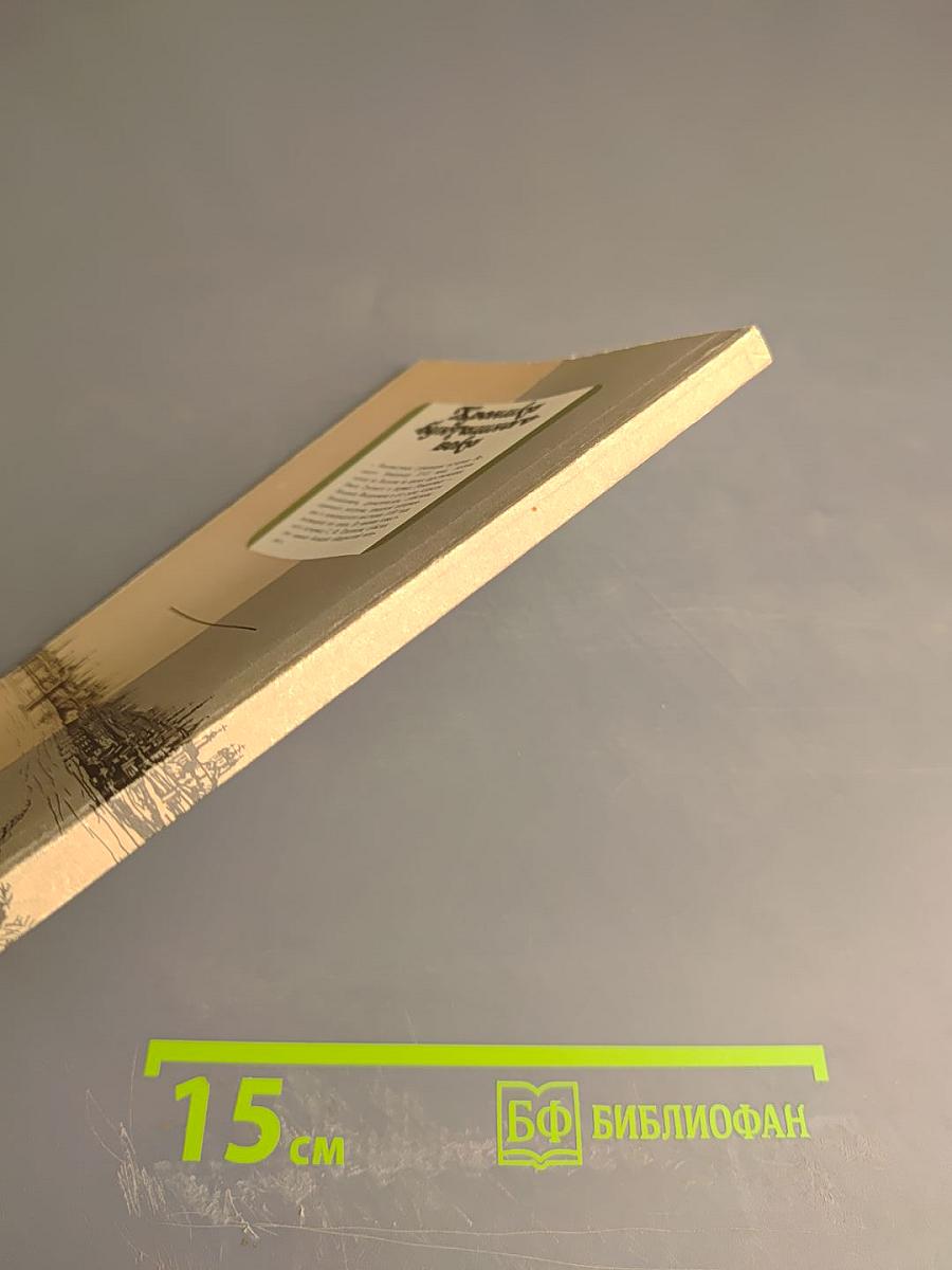 Хроника «бунташного» века