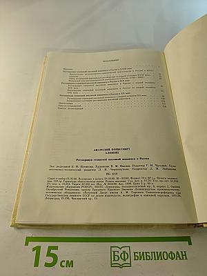 Реставрация станковой масляной живописи в России. Развитие принципов и методов