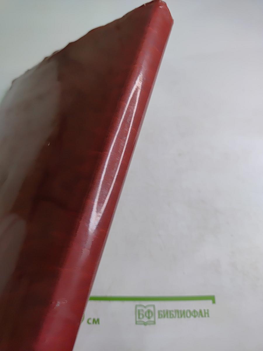 Выбирая свой путь: Очерки об общественных организациях Северного административного округа города Москвы