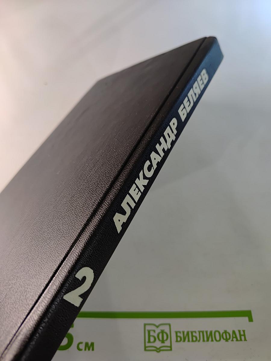 Избранные произведения. Том 2