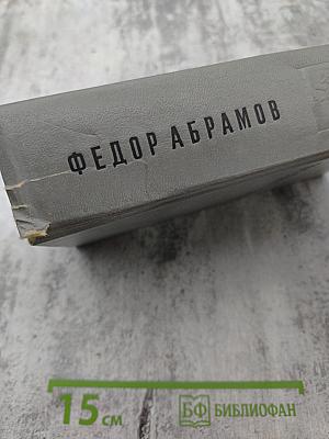 Пряслины