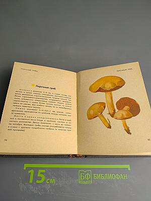 Изучайте грибы