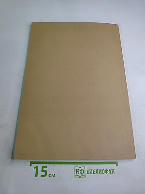 Поздний палеолит Северной Евразии: Палеоэкология и структура поселений