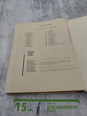 Михаил Кольцов, каким он был