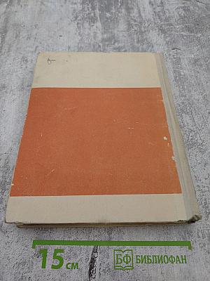 Михаил Кольцов, каким он был