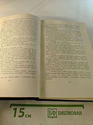 Собрание сочинений. Том второй: Рассказы и повести 1910–1931