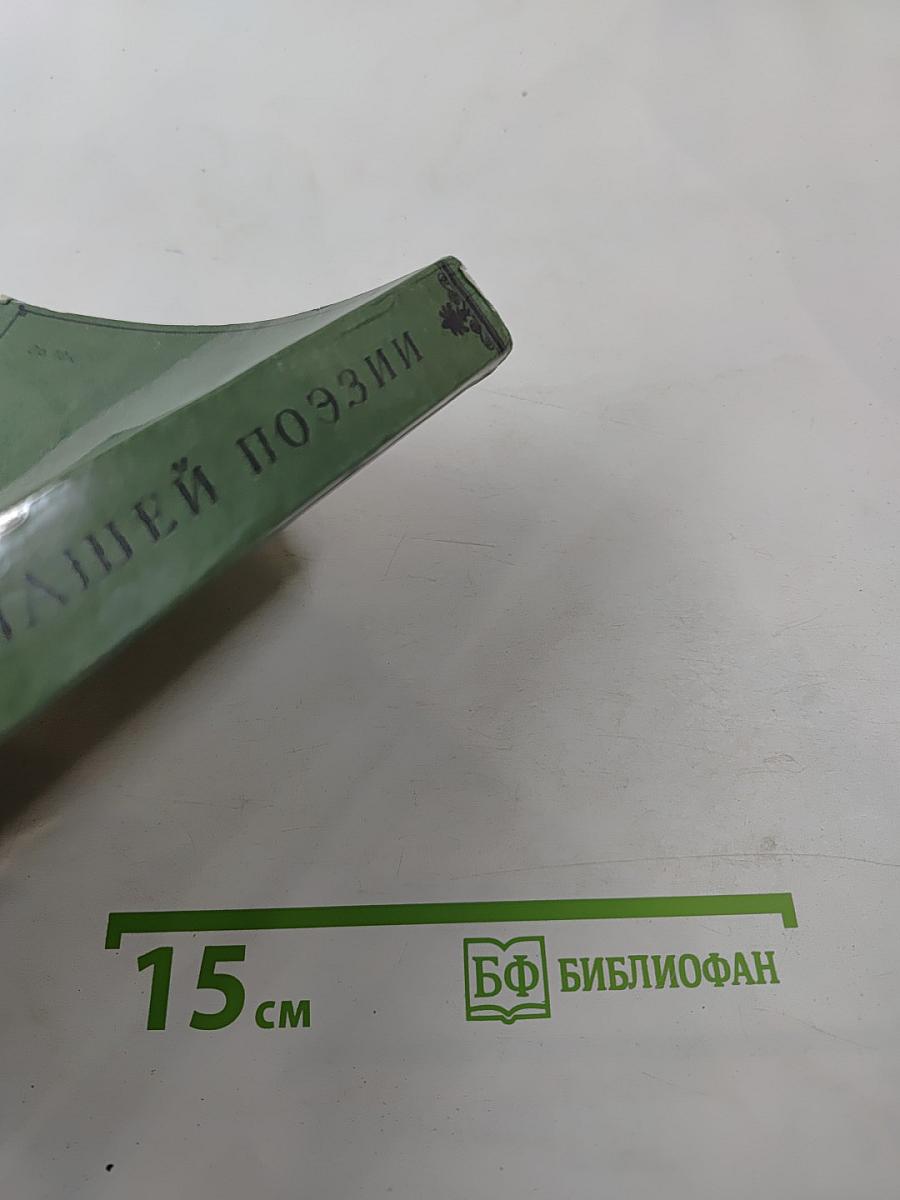 Солнце нашей поэзии (Из современников Пушкинианы)