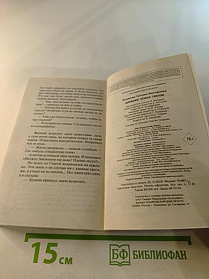 Дневник чужих грехов