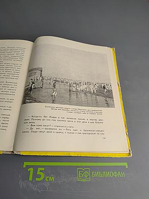 Отступающие джунгли