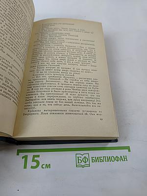 По тонкому льду. Том II