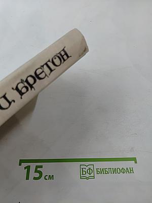 Женщины и короли. От Анны де Боже до Марии Туше. Том 2