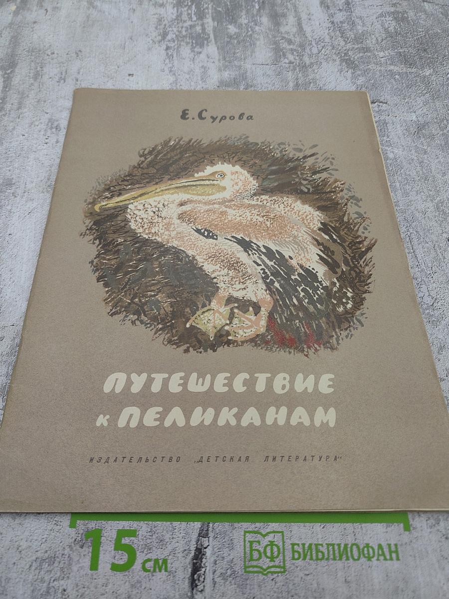 Путешествие к пеликанам