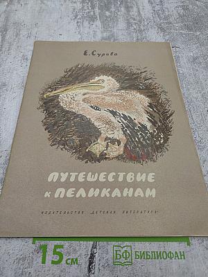 Путешествие к пеликанам