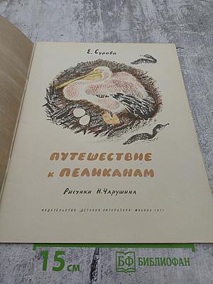 Путешествие к пеликанам