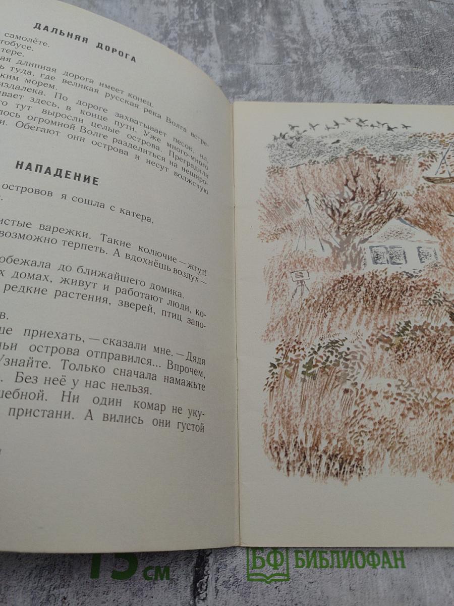 Путешествие к пеликанам