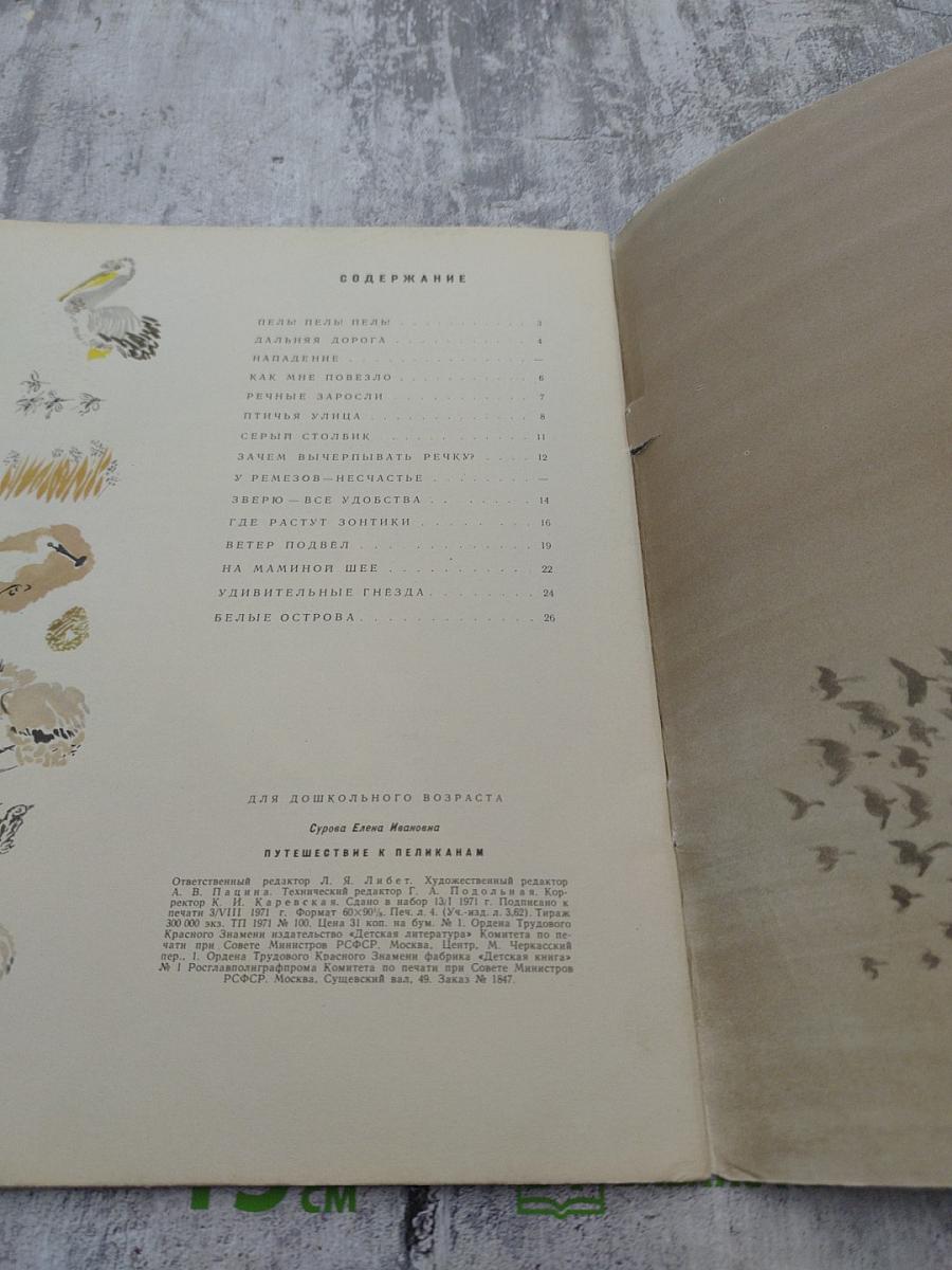 Путешествие к пеликанам