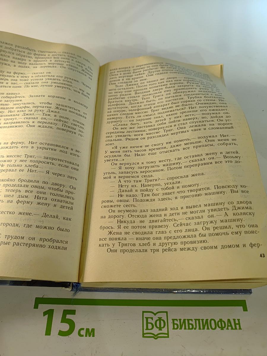 Не позже полуночи