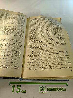 Не позже полуночи