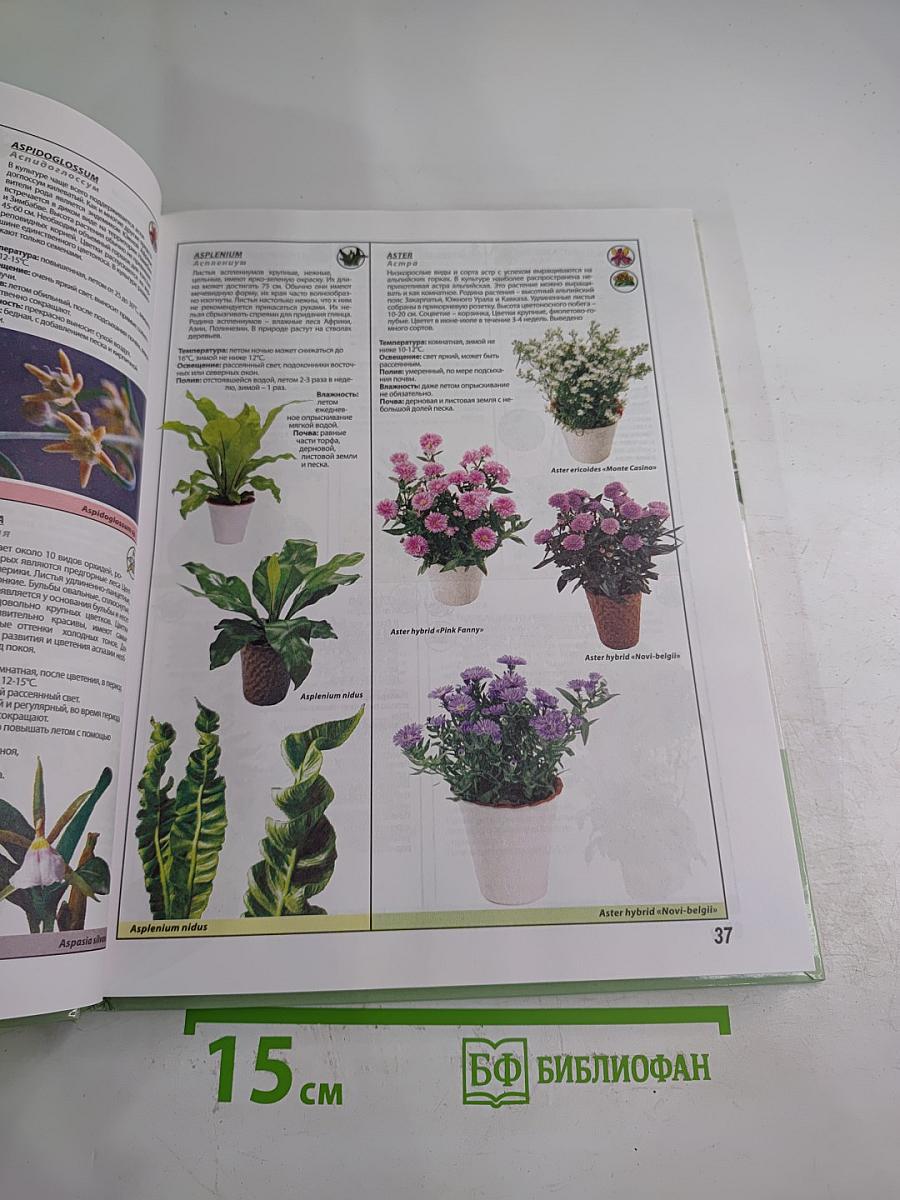 Энциклопедия комнатных растений иллюстрированный справочник