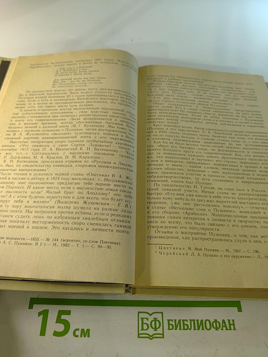 Образ, бережно хранимый: Жизнь Пушкина в памяти поколений