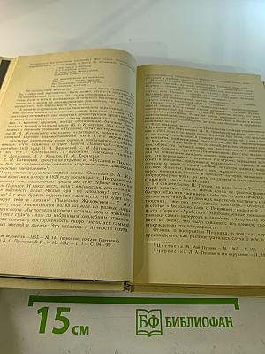 Образ, бережно хранимый: Жизнь Пушкина в памяти поколений