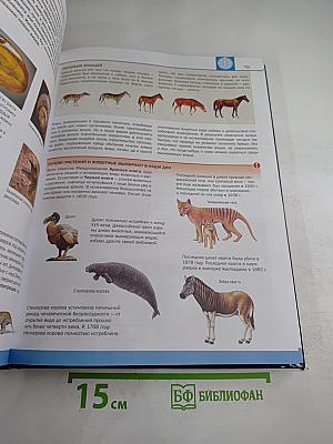 Большой атлас мира