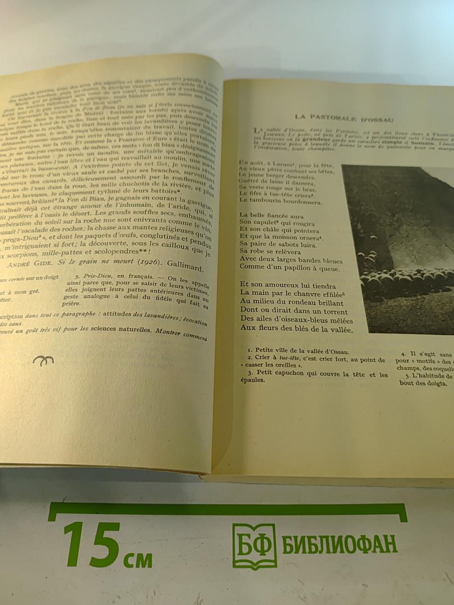 Курс французского языка. Книга IV