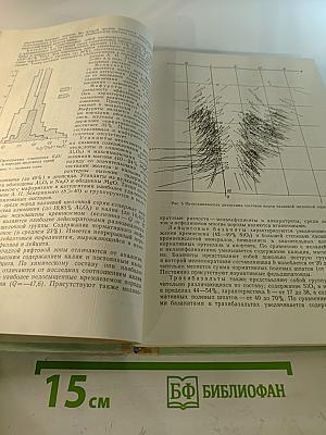 Восточно-Африканская рифтовая система. Том III
