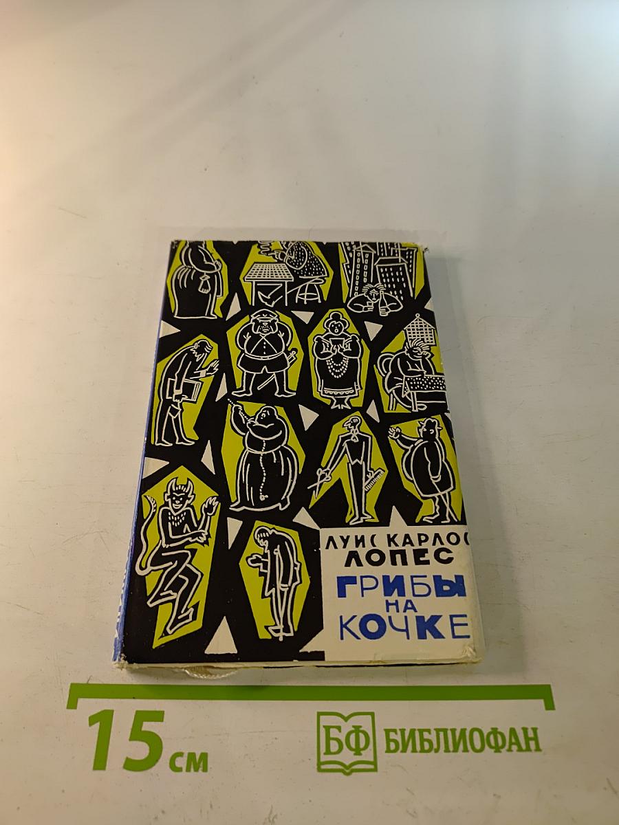 Грибы на кочке