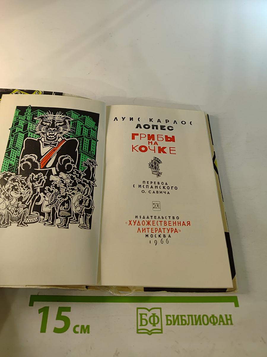 Грибы на кочке