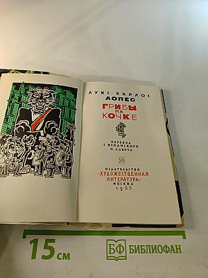 Грибы на кочке