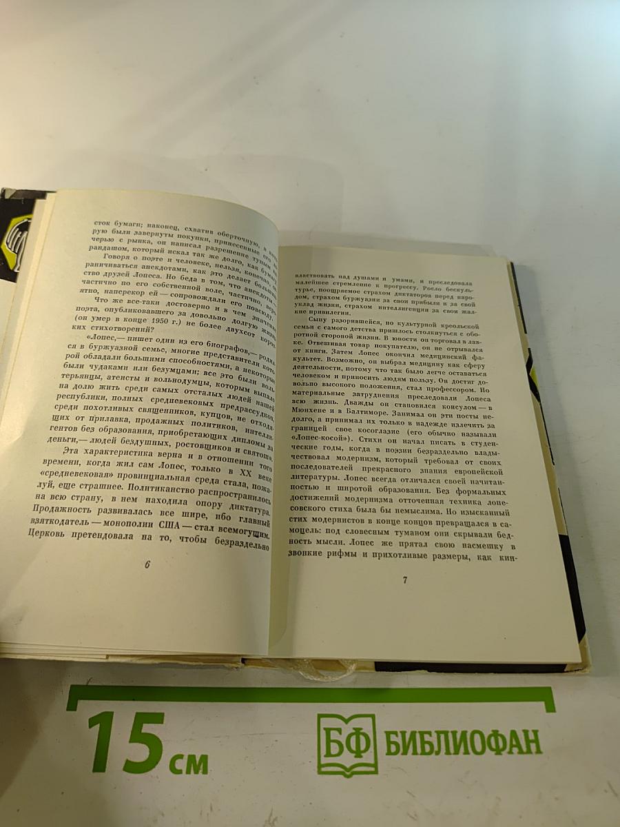 Грибы на кочке