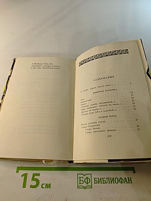 Грибы на кочке