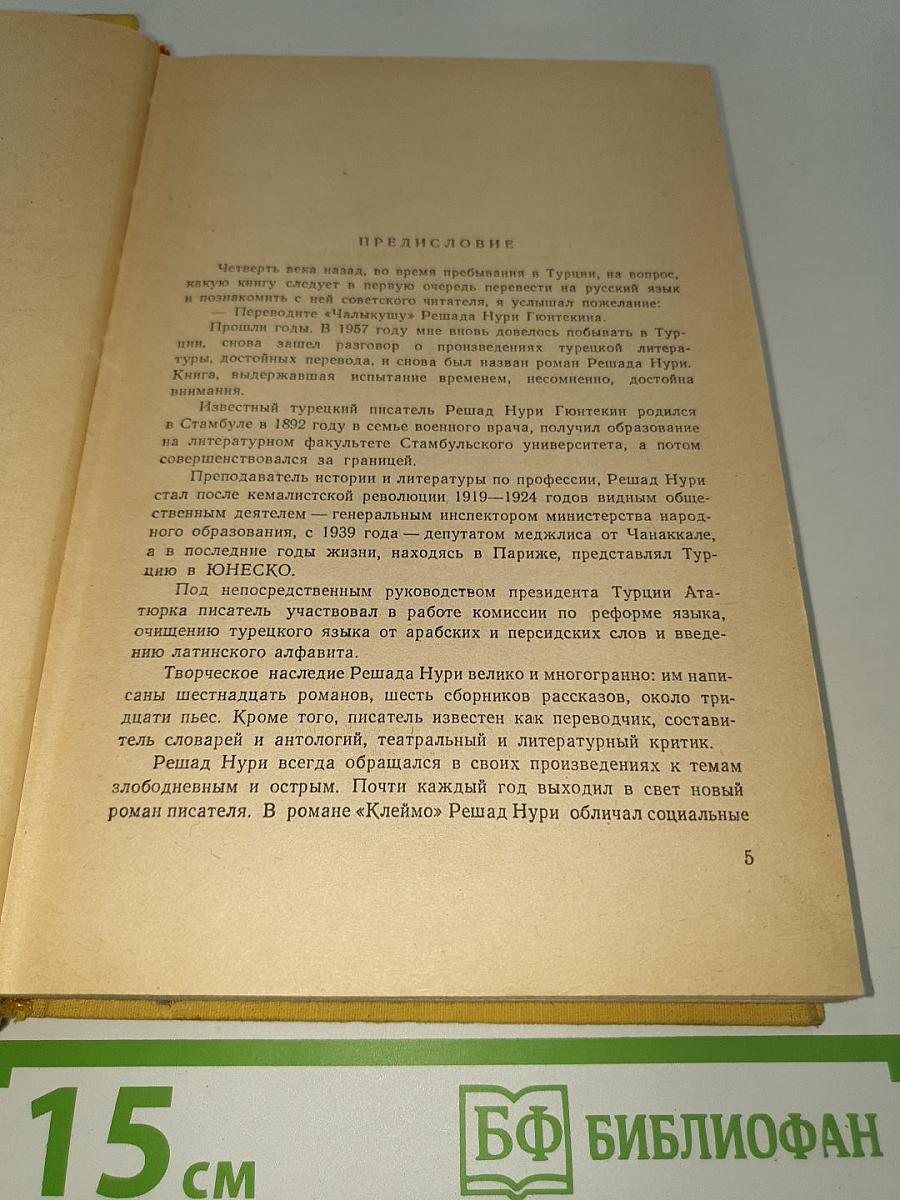 Птичка певчая