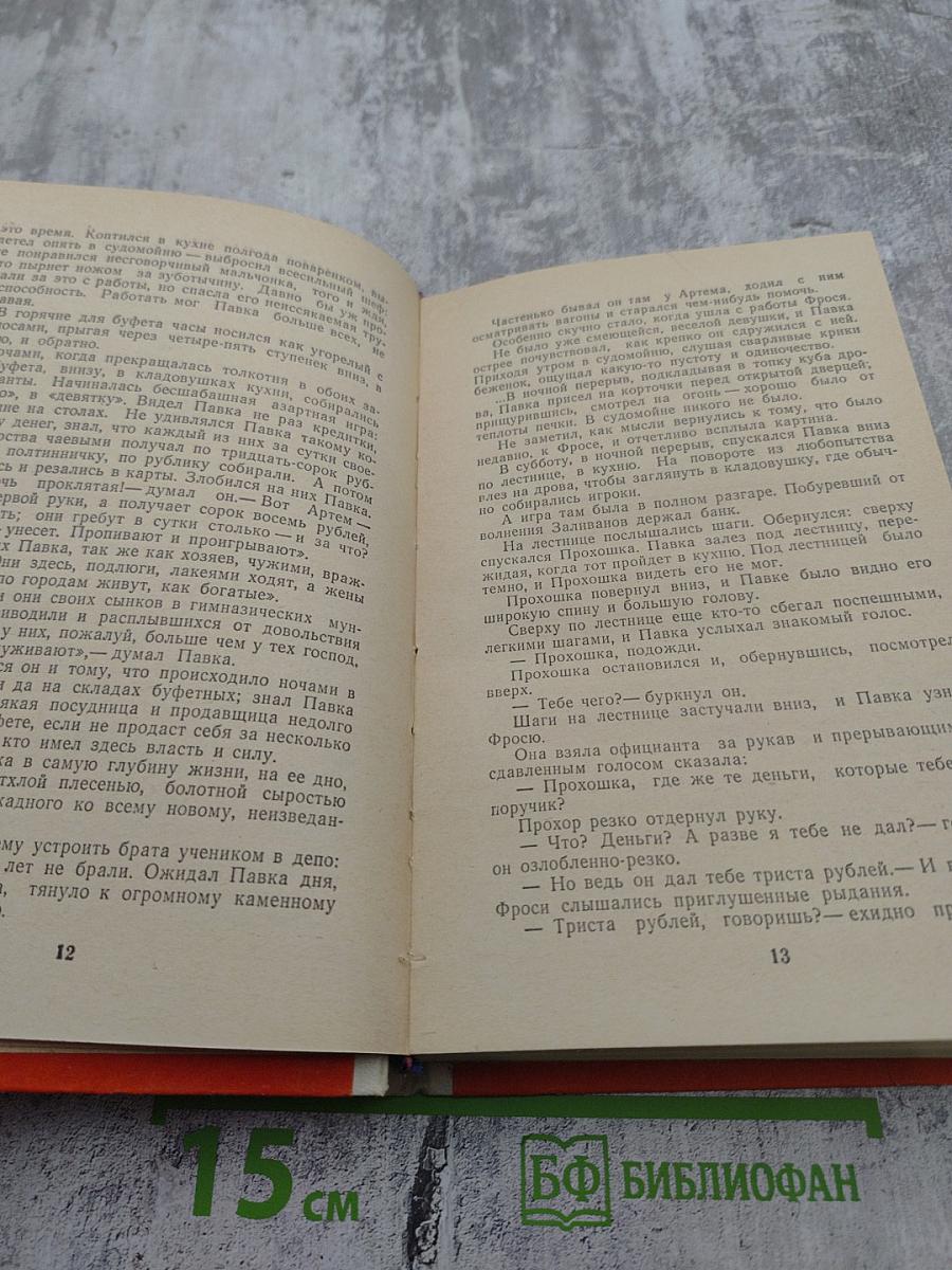 Как закалялась сталь