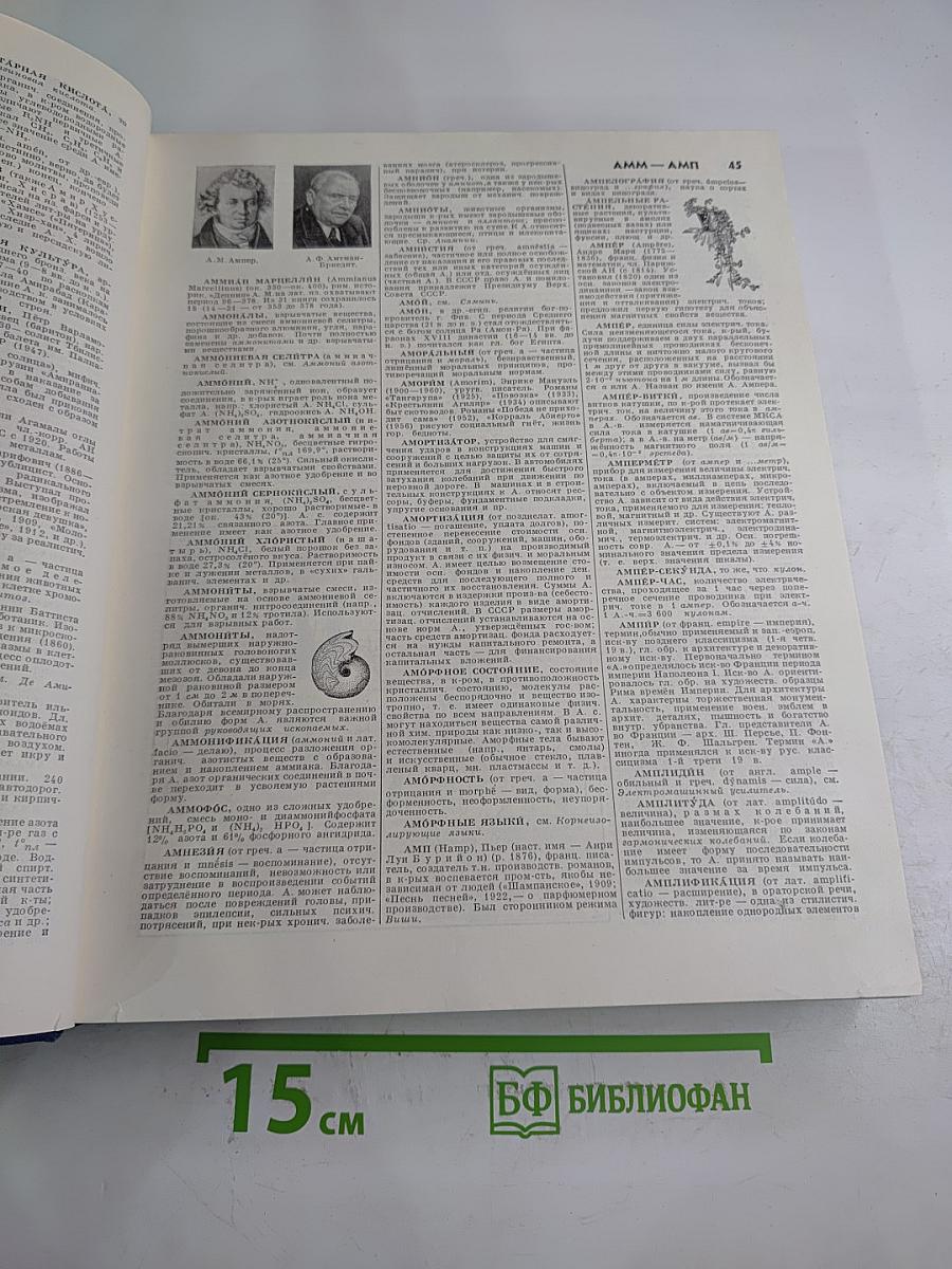 Энциклопедический словарь в двух томах. Том 1: А - Маскарон