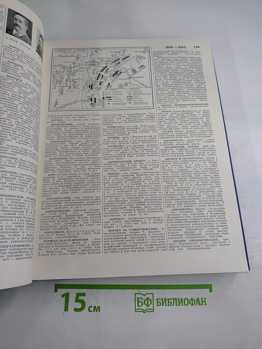 Энциклопедический словарь в двух томах. Том 1: А - Маскарон