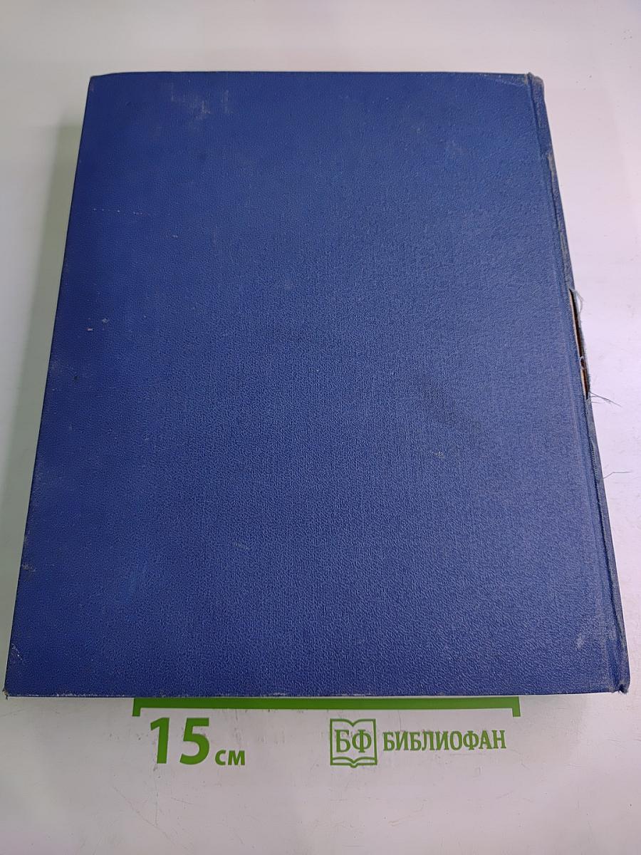 Энциклопедический словарь в двух томах. Том 1: А - Маскарон