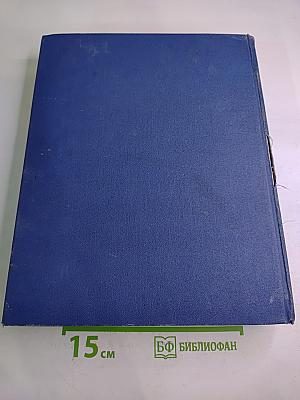 Энциклопедический словарь в двух томах. Том 1: А - Маскарон