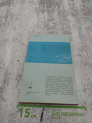 Океан. Активные поверхности и жизнь