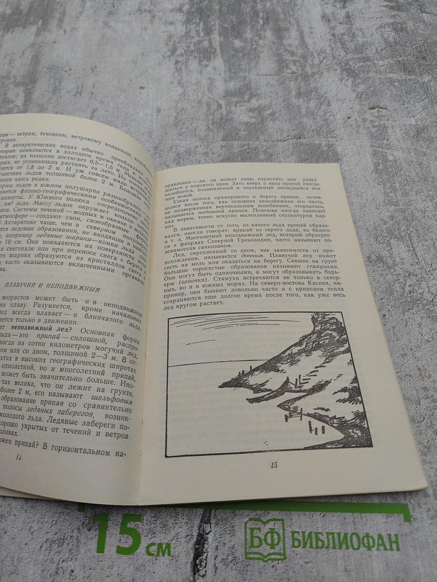 Морские льды