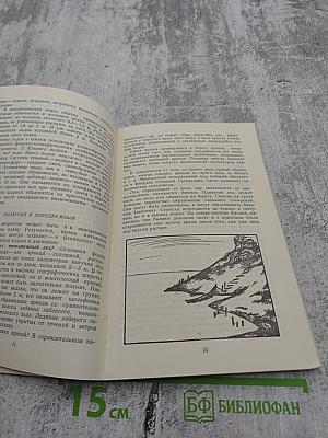 Морские льды