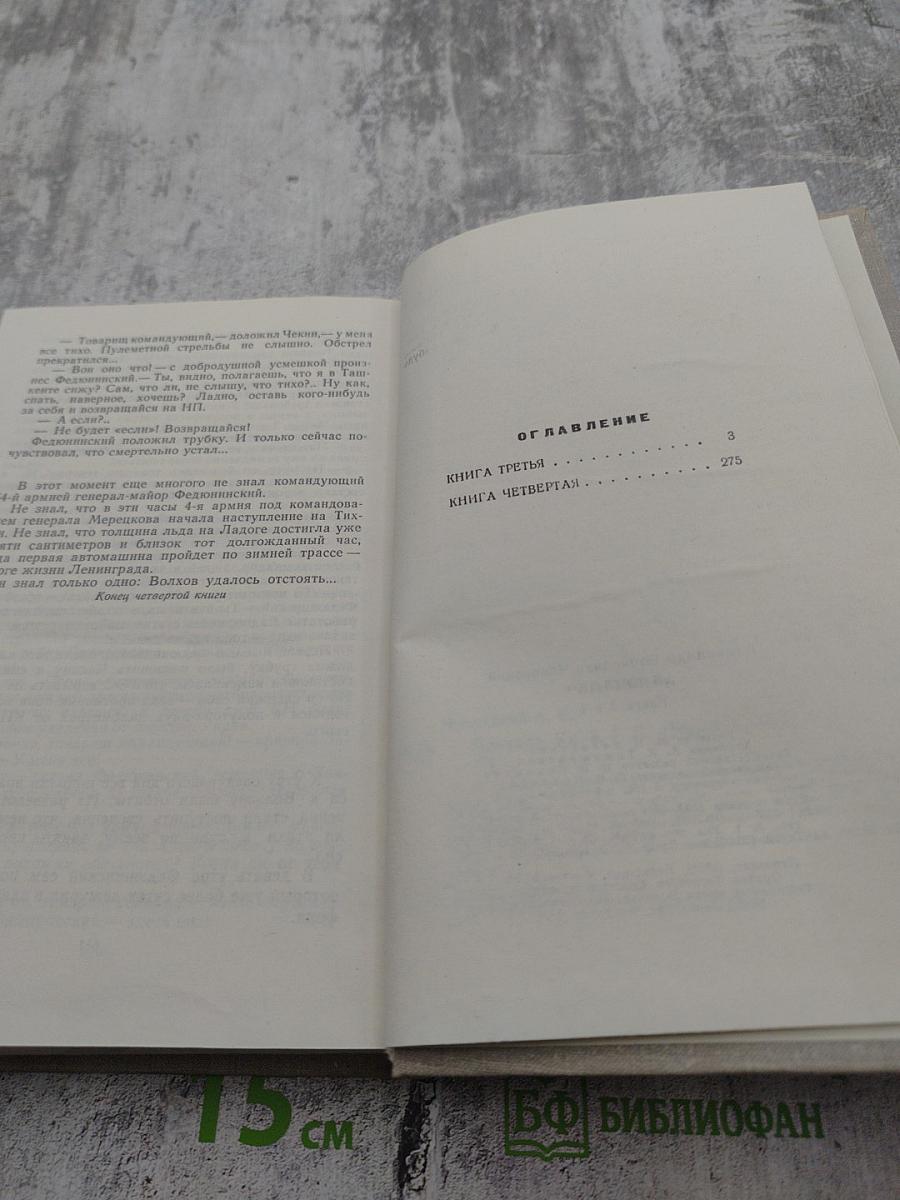 Блокада. Книги третья и четвертая