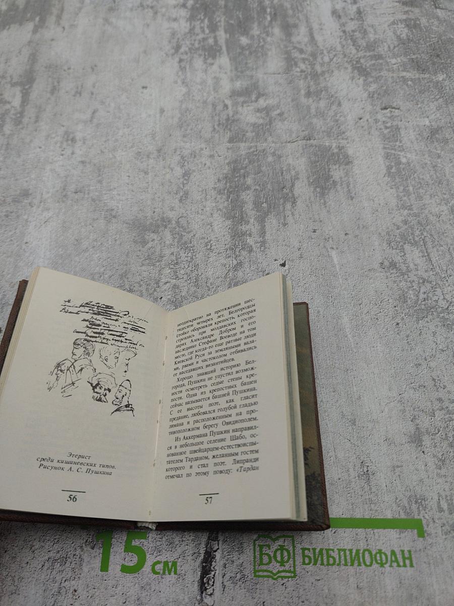 Пушкин в Молдавии