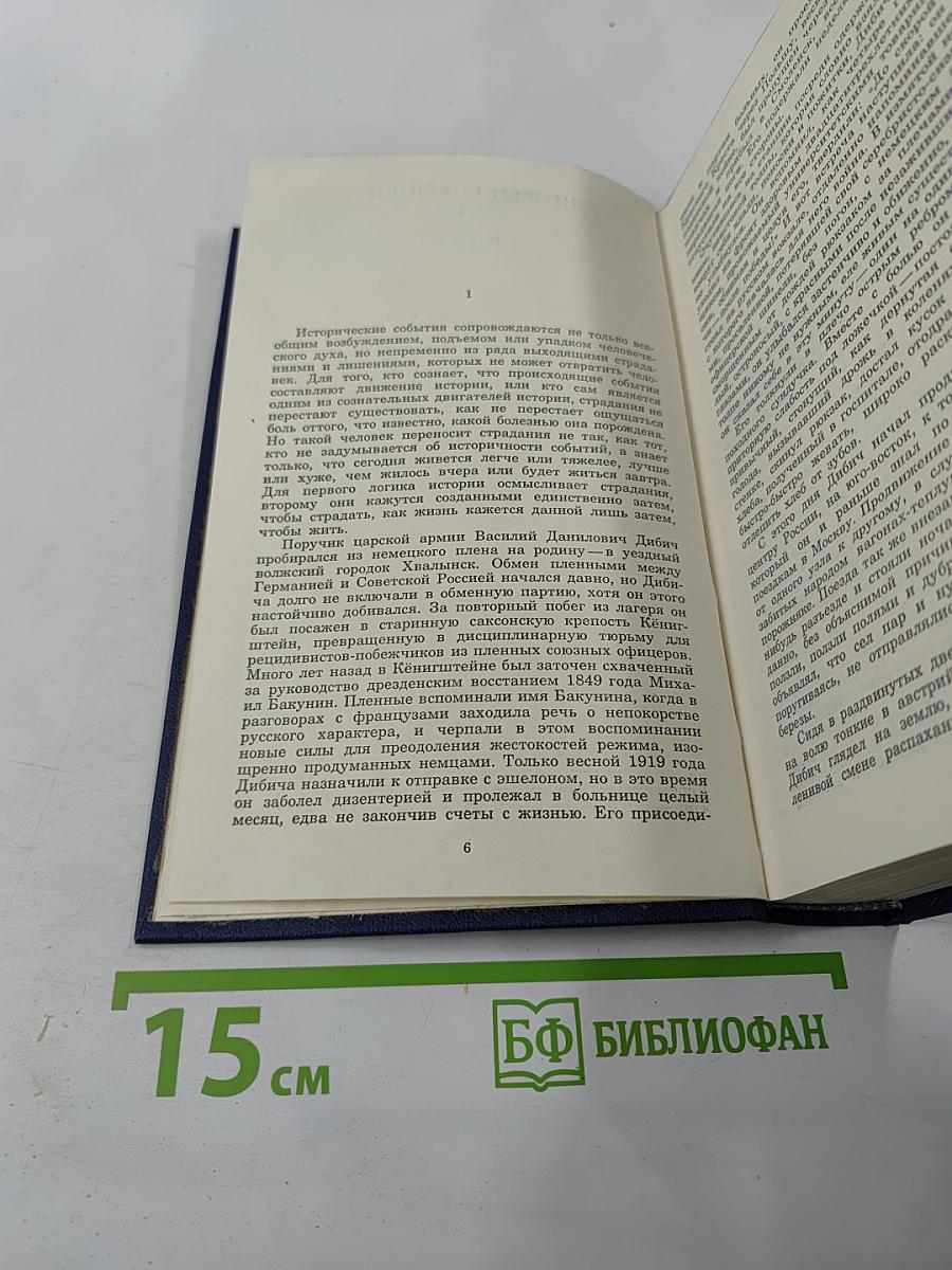 Собрание сочинений. Том шестой. Необыкновенное лето