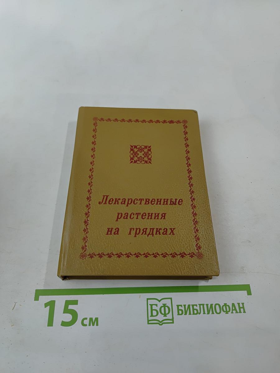 Лекарственные растения на грядках