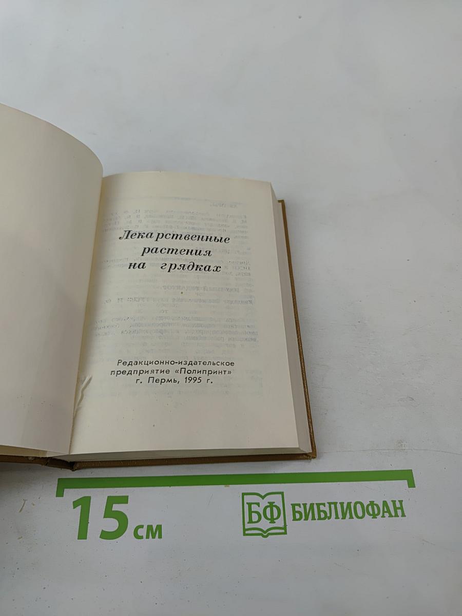 Лекарственные растения на грядках